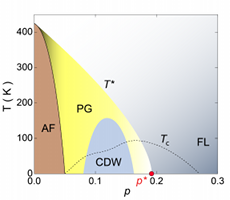 Phase diagram of cuprates