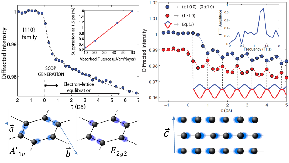 Left Rapid Relaxation of Electronic Excitation Energy into Strongly Coupled Optical Phonons. Right Coherent Excitation of Transverse Optical Interlayer Shearing Mode.