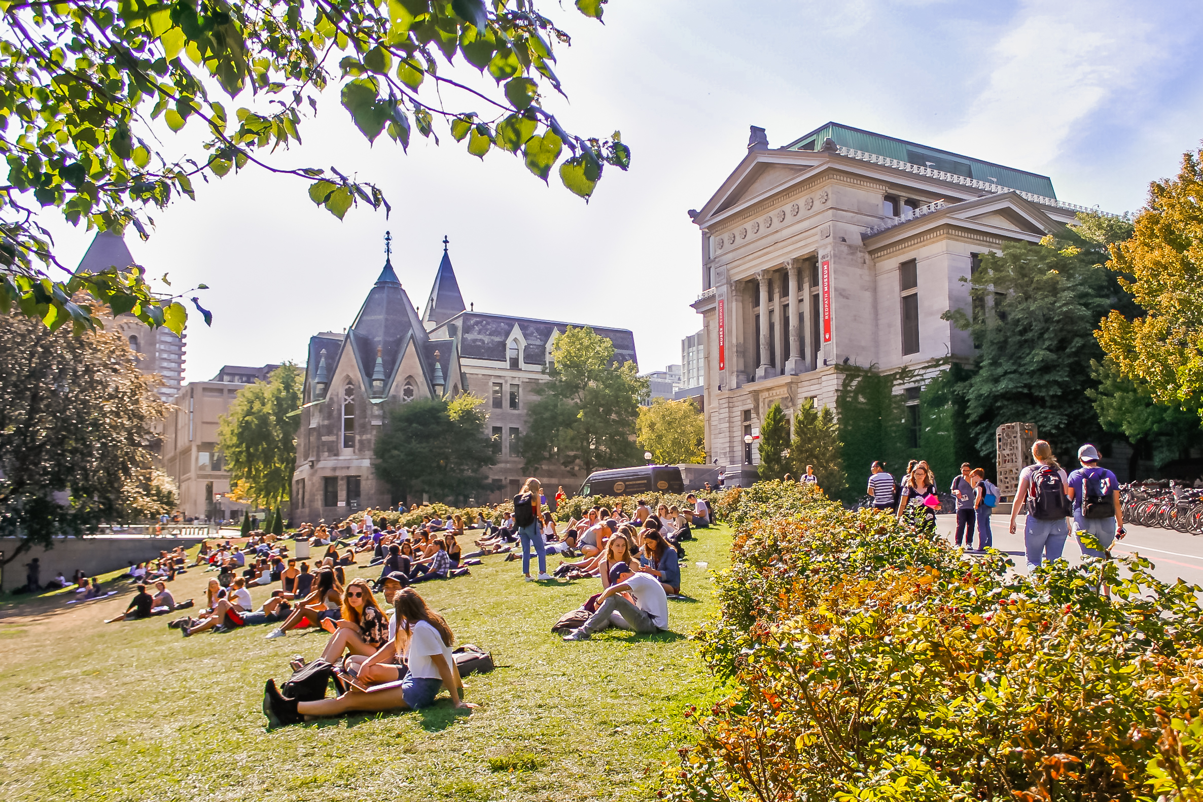 [McGill Downtown Campus]